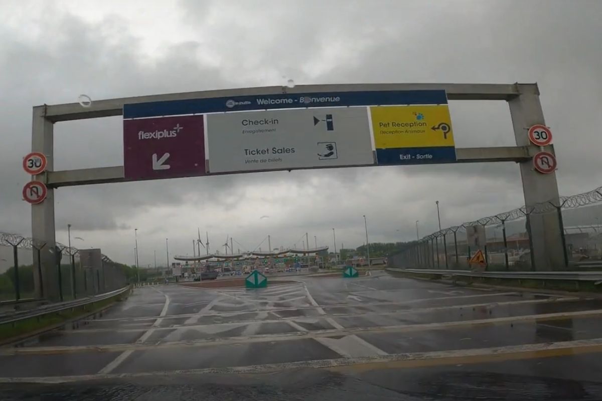 Hond bij de Pet Reception van de Kanaaltunnel voor de reis naar Engeland